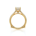 Vanguard-2208EM-14K Yellow Gold Emerald